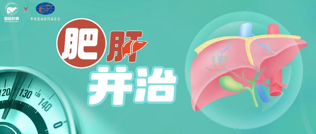 “肥肝并治”专栏文献月评——第十四期·2026年8月