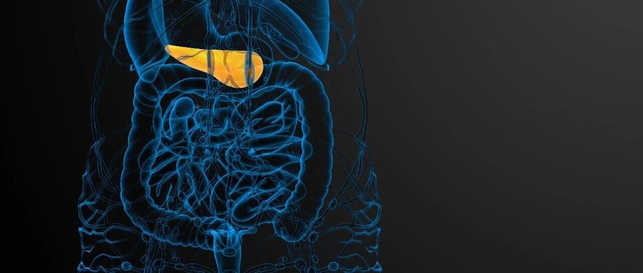 晚期胆道癌患者度伐利尤单抗维持期进展后CGD再治疗仍具有生存获益