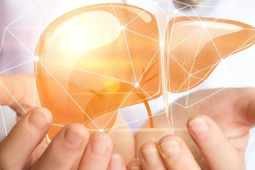 Hepatology丨HES V2.0优于GALAD评分系统，有望成为肝细胞癌早期检测的重要工具