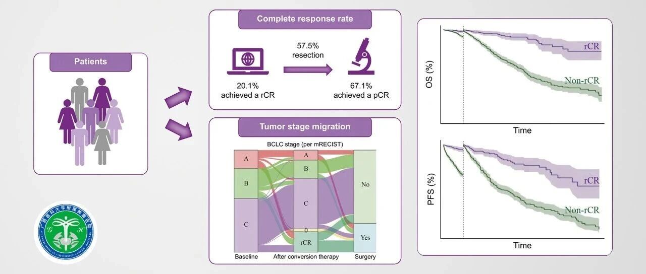 从“不可切”到“长期生存”，多中心研究提供肝癌免疫转化治疗预后指标新依据