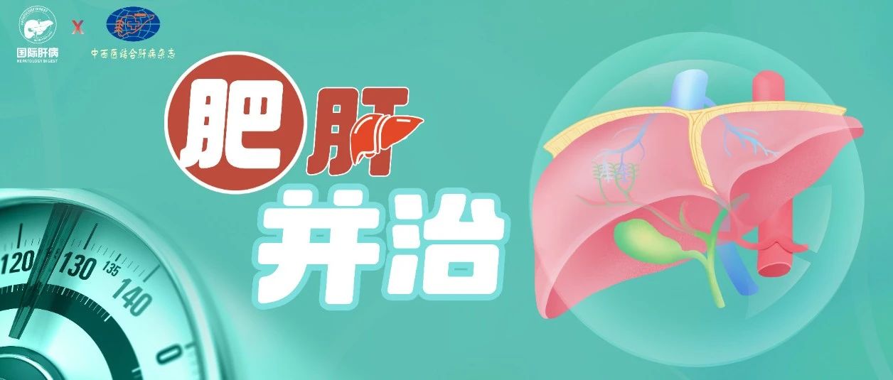 “肥肝并治”专栏文献月评——第五期·2025年11月