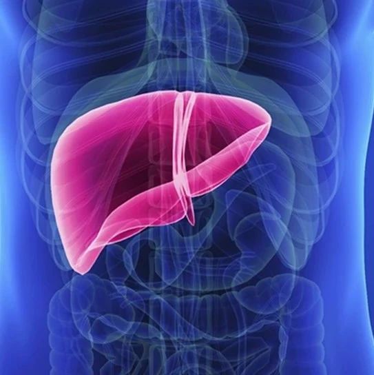 TIPS哪些患者可用？显性肝性脑病预测模型协助决策！