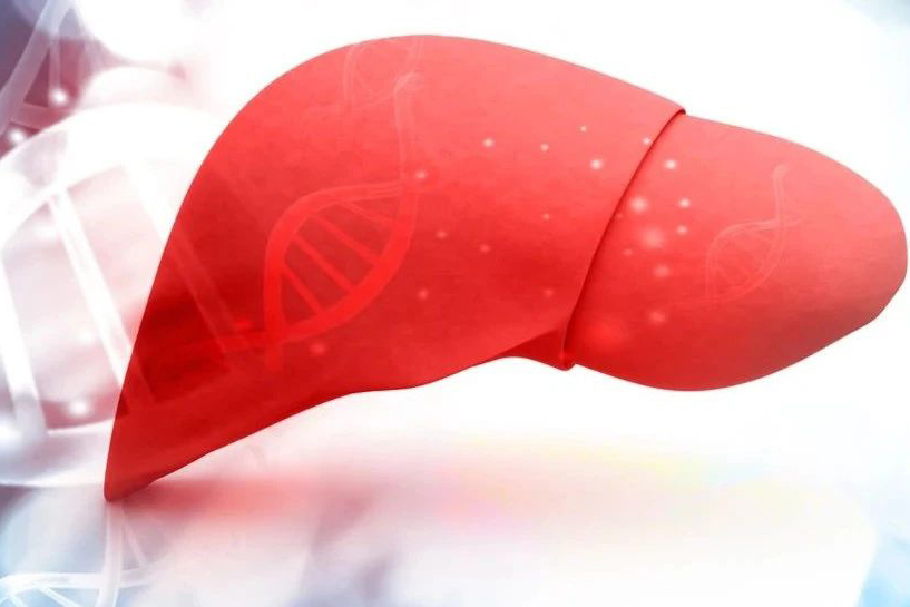 ​JOH丨自身免疫性肝炎研究进展：从机制到临床管理的革新